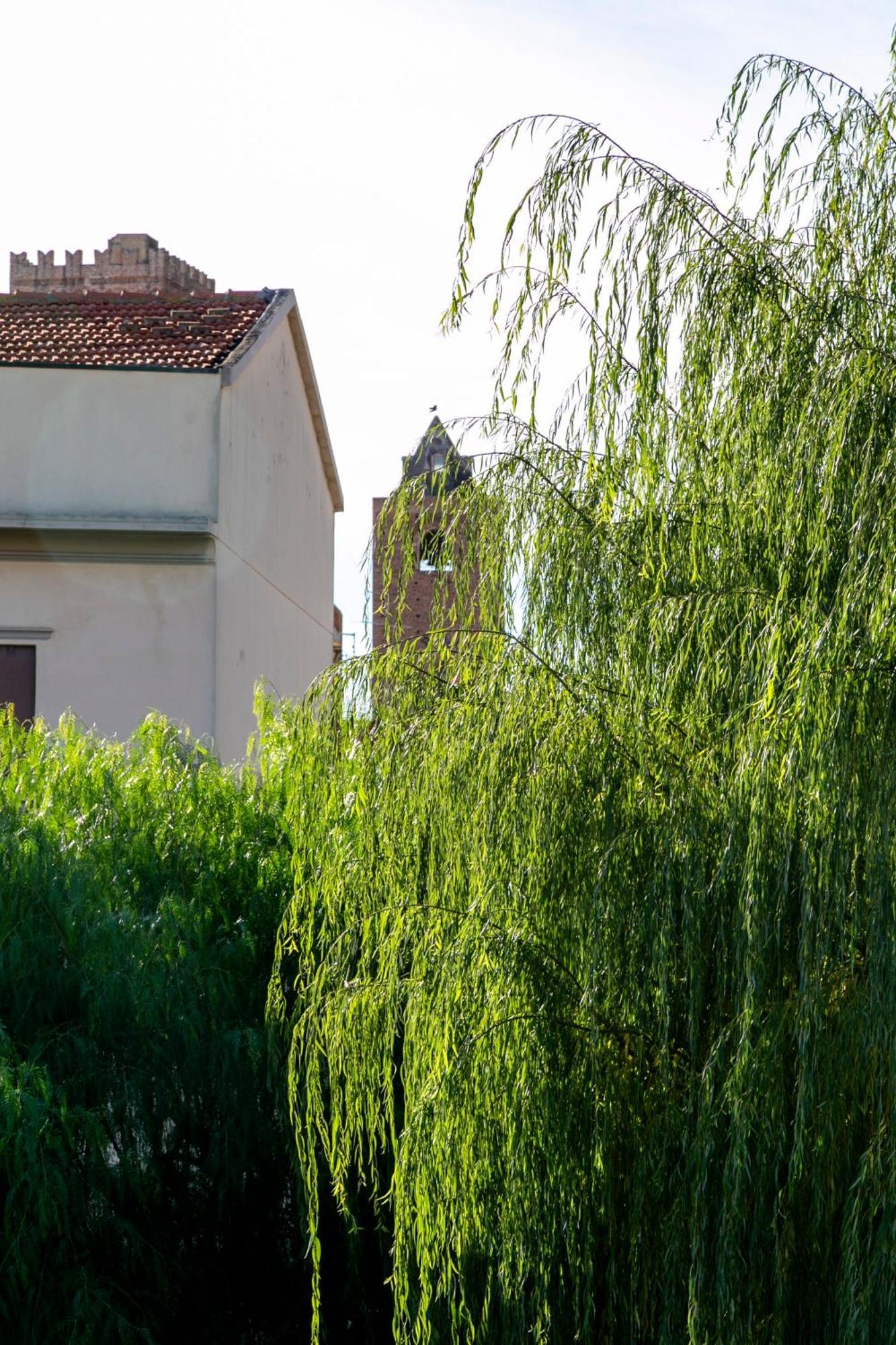 Villa Marlene B&B Albenga Exterior photo