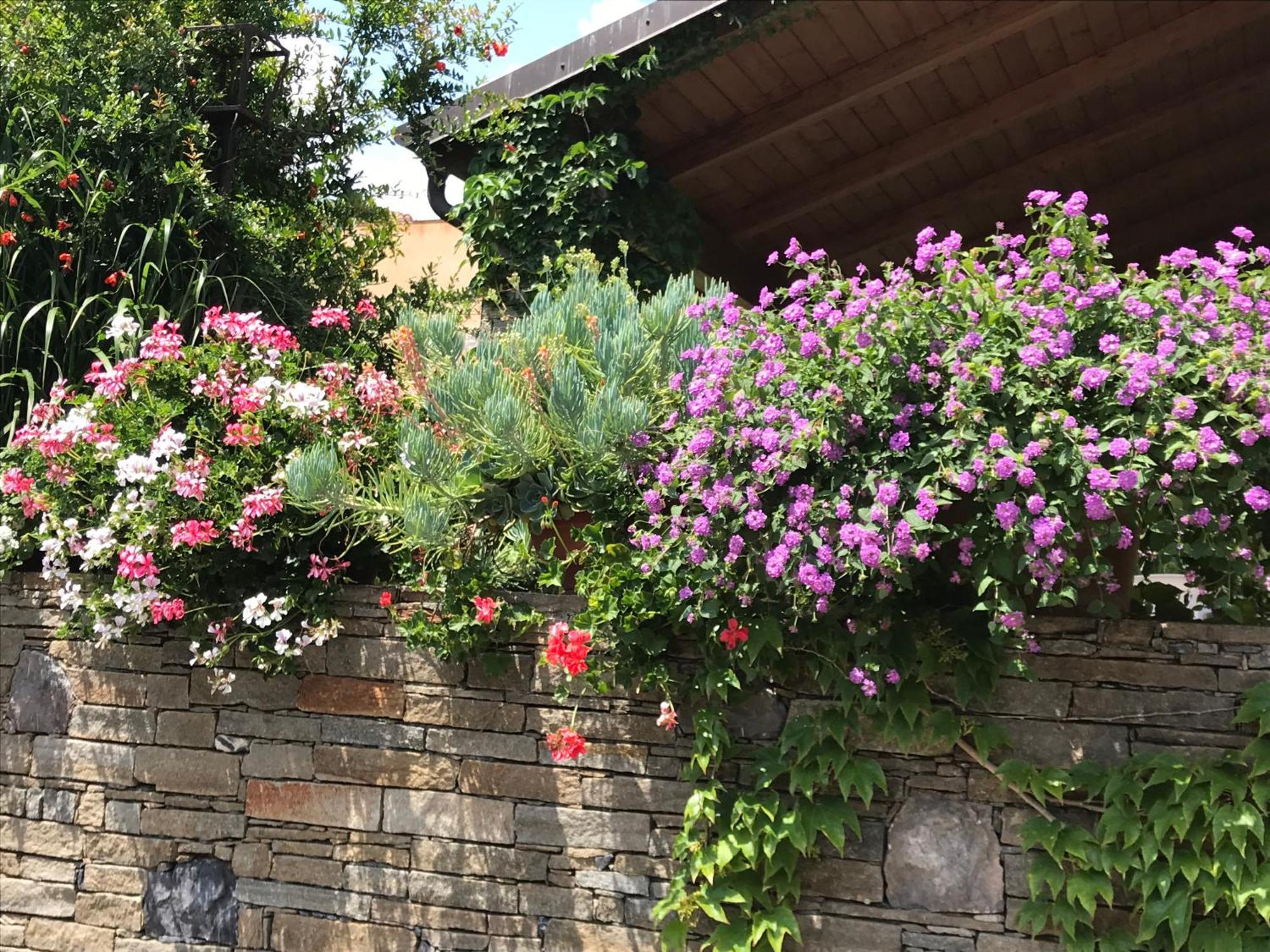Villa Marlene B&B Albenga Exterior photo